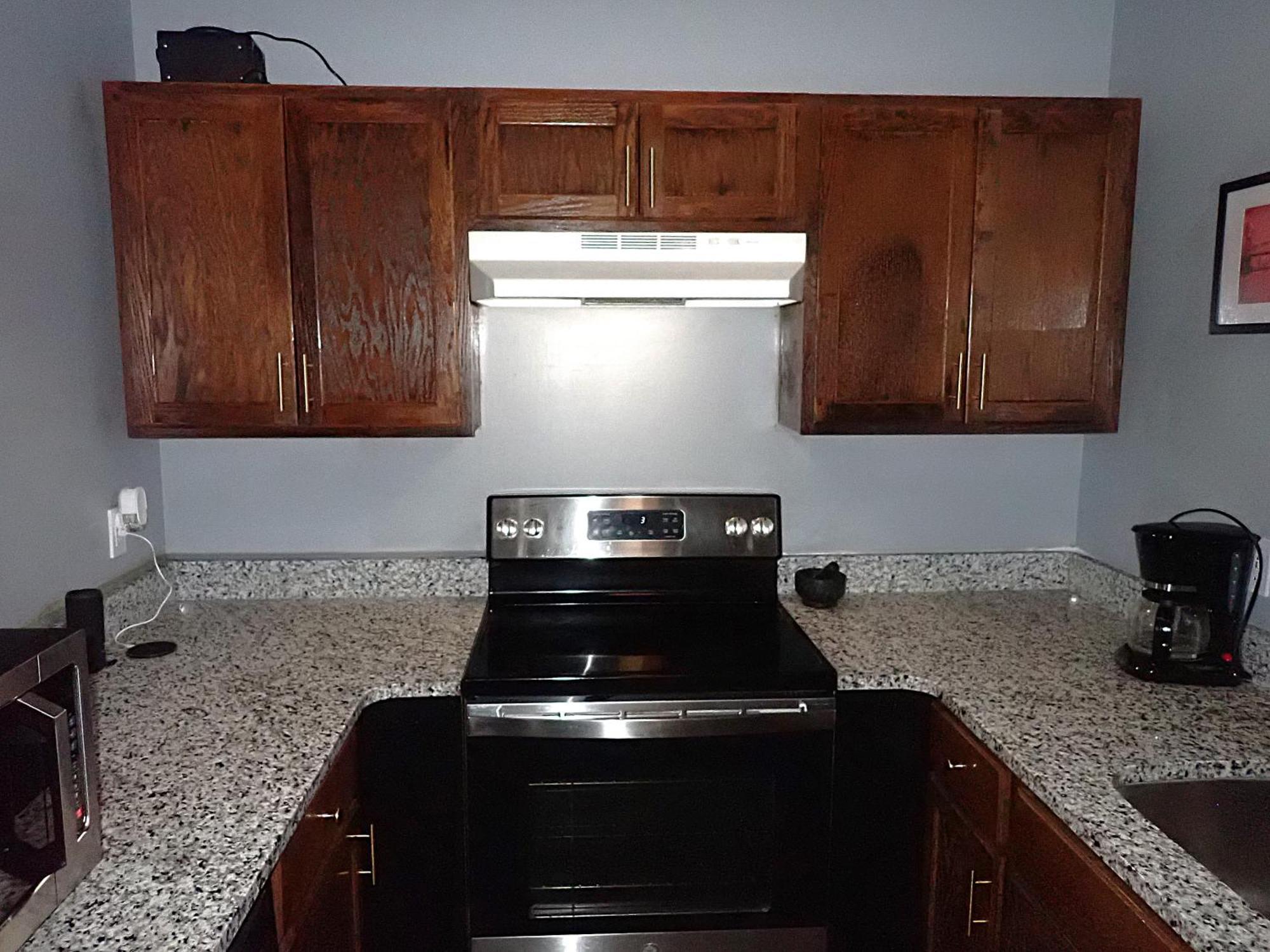 Garden Level 1br Condo, Luxury Suite, 1pm Check-in Apartment